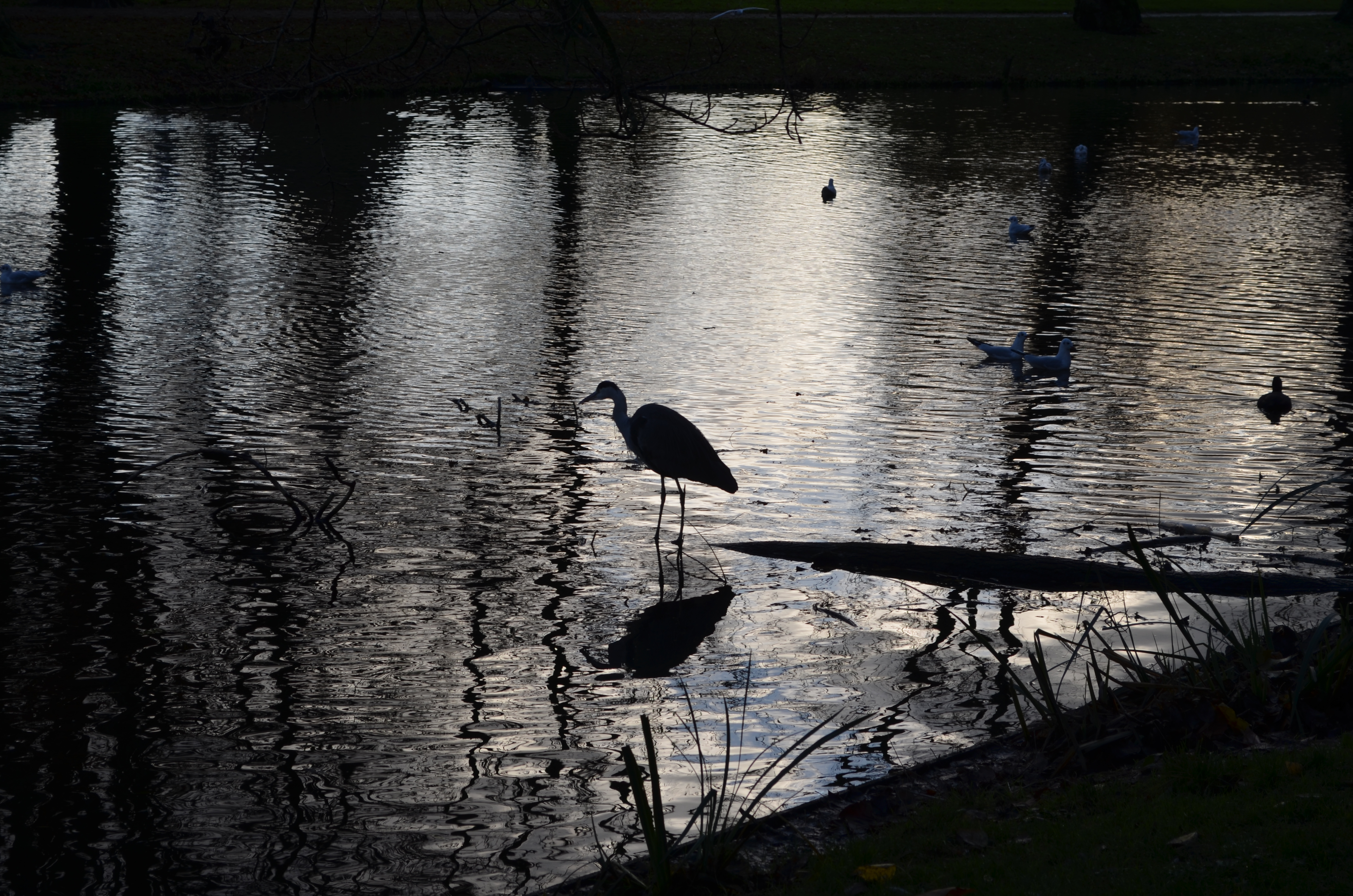 ./2017/19 - Viking Lif/13 - Amsterdam, The Netherlands/DSC_0549.JPG